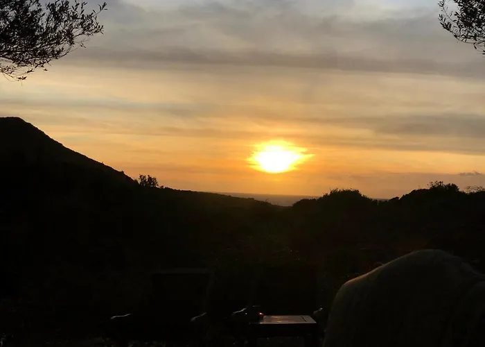 Apartment Residences Anna *