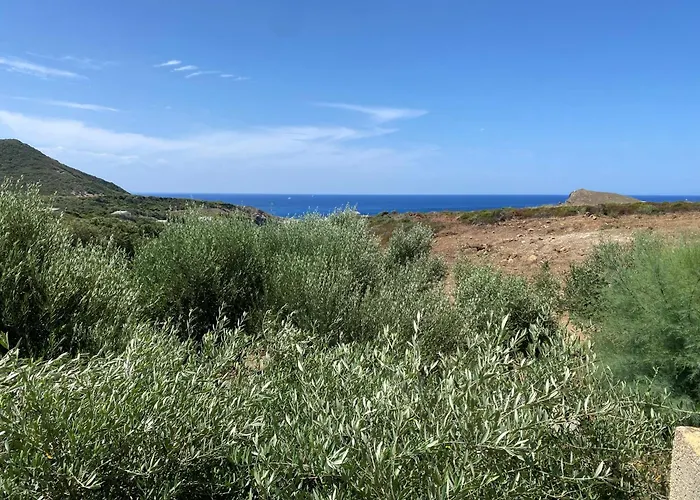 Apartment Residences Anna *