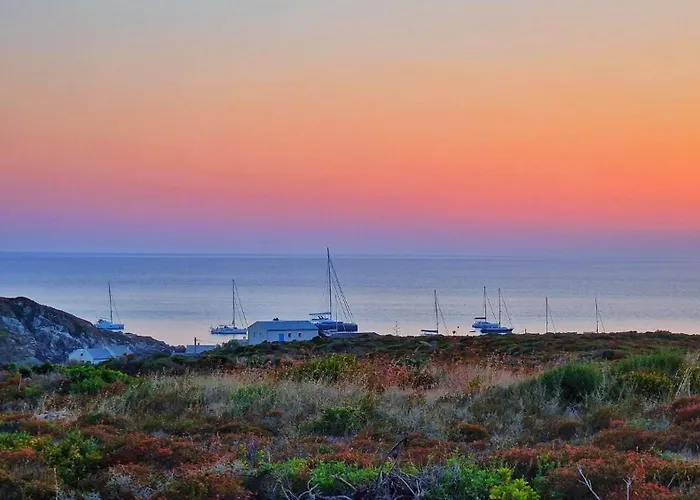 Apartment Residences Anna *